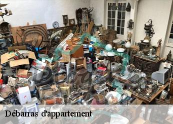 Débarras d'appartement  aigurande-36140 AMIENS antiquaire