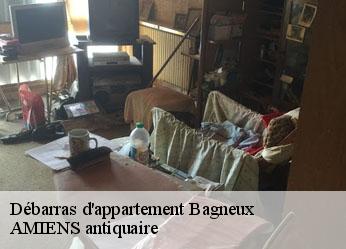 Débarras d'appartement  bagneux-36210 AMIENS antiquaire