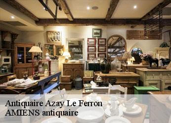 Antiquaire  azay-le-ferron-36290 AMIENS antiquaire