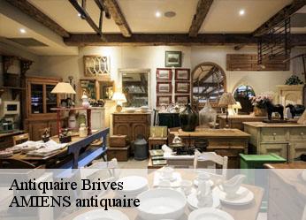 Antiquaire  brives-36100 AMIENS antiquaire