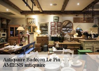 Antiquaire  badecon-le-pin-36200 AMIENS antiquaire