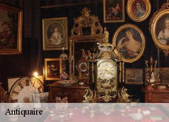 Antiquaire  saint-georges-sur-arnon-36100 AMIENS antiquaire