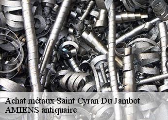Achat métaux  saint-cyran-du-jambot-36700 AMIENS antiquaire